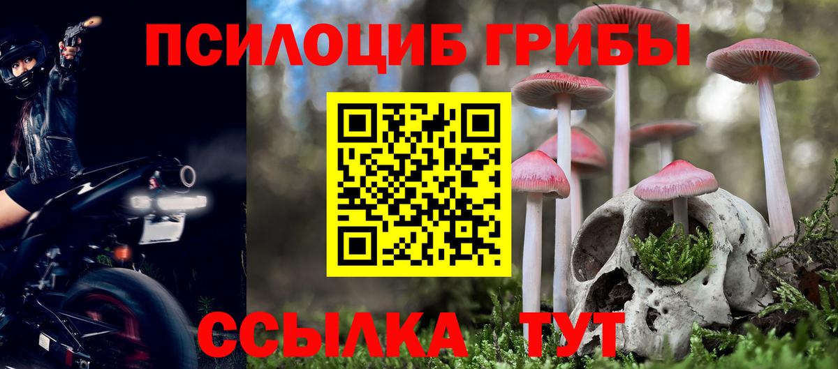 Псилоцибиновые грибы MAGIC MUSHROOMS  Вход с VPN  Псилоцибиновые грибы мицелий  Отрадный 